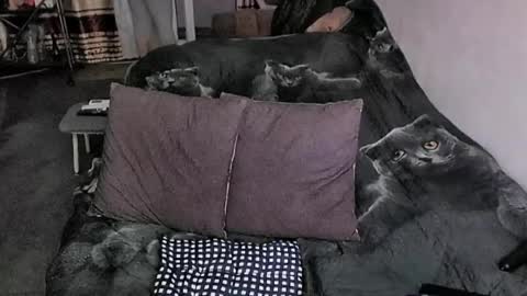 Lana online show from 03/20/26, 11:31