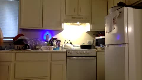 Twin and Lea online show from 12/21/25, 08:38