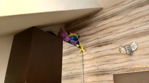 twinslovers_ online show from 01/06/26, 03:32