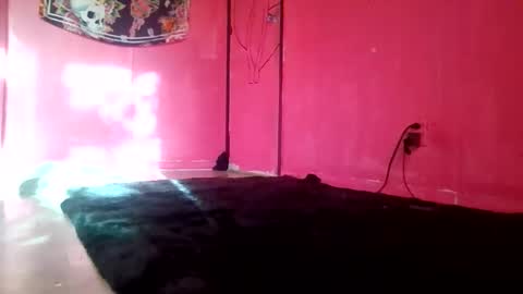 twizzytoxic22 online show from 05/09/26, 11:21