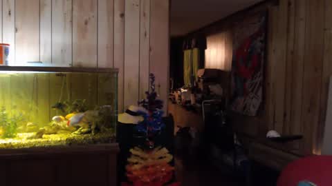 twocumkerry online show from 02/13/25, 08:06