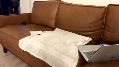 Snapshot of txguybi chatting on 08/04/26, 03:53 txguybi online show from 08/04/26, 03:53