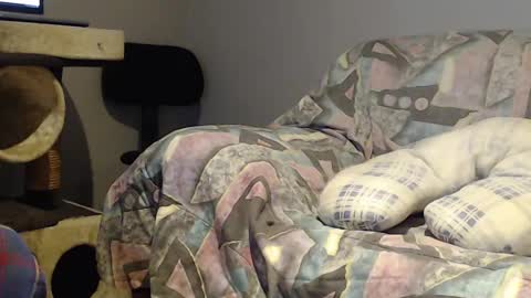 Snapshot of tyson2525 chatting on 02/22/25, 03:56 Helena and Tyson online show from 02/22/25, 03:56