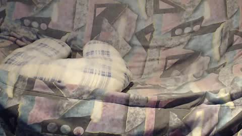 Snapshot of tyson2525 chatting on 02/23/25, 04:17 Helena and Tyson online show from 02/23/25, 04:17