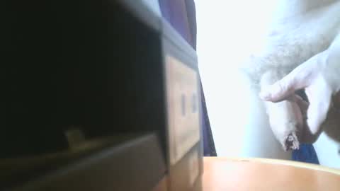 u02g2 online show from 12/21/24, 08:00