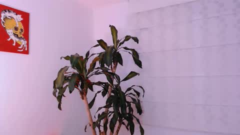 Martina online show from 10/11/25, 01:49