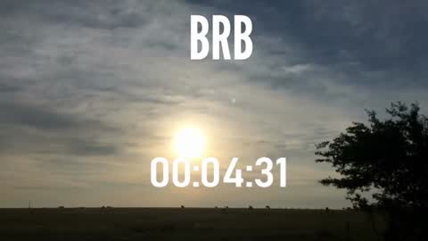 Snapshot of ulmo_br chatting on 12/15/24, 10:58 ulmo_br online show from 12/15/24, 10:58