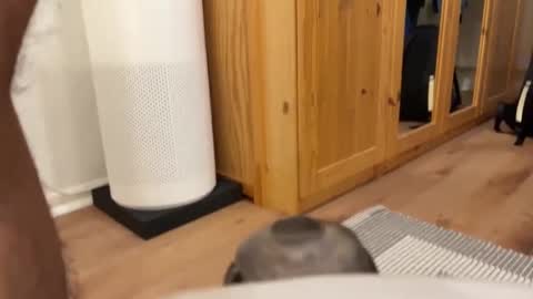 Snapshot of umberto2015 chatting on 12/04/24, 05:33 Umberto2015 online show from 12/04/24, 05:33