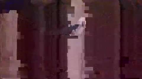 uncut4urbutt online show from 12/08/24, 12:19