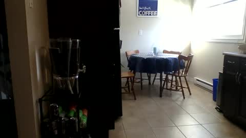 Buzz Bigcock online show from 02/23/26, 08:28