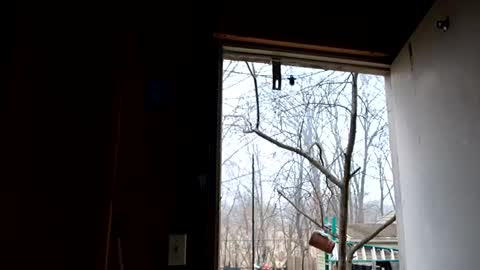 upforanything27 online show from 12/25/24, 06:41