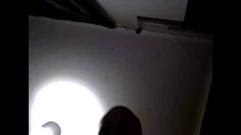 uplatenhorny2379 online show from 09/27/25, 05:34