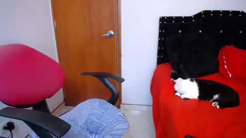 Eveling Blanco  online show from 02/18/25, 05:53