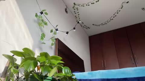   Valentin  independent Cam Boy     online show from 03/11/25, 12:39