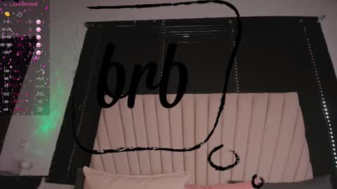    online show from 02/13/25, 08:03