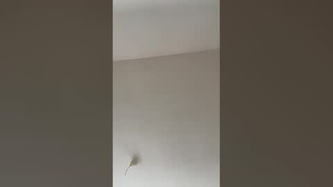 Snapshot of valerianleclercq2025 chatting on 02/27/26, 04:07 valerianleclercq2025 online show from 02/27/26, 04:07