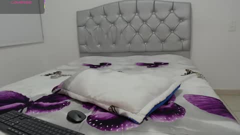 Snapshot of valery_alejo chatting on 02/02/25, 08:57 valeria online show from 02/02/25, 08:57