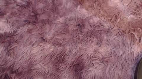 valery carter01 online show from 02/03/26, 02:53