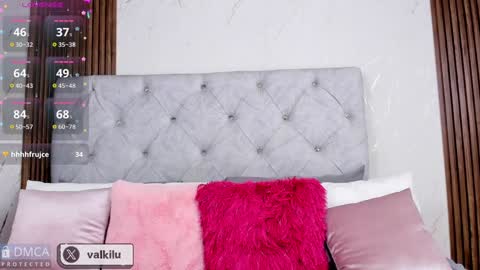 Snapshot of valkilu11 chatting on 01/30/25, 01:33 valkilu11 online show from 01/30/25, 01:33