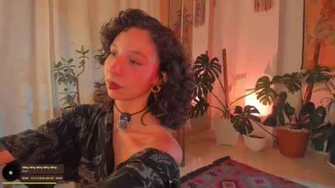      online show from 02/08/26, 12:36