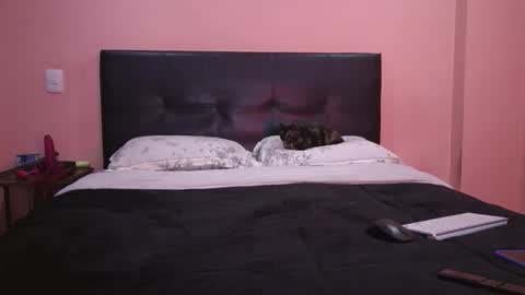 Snapshot of vamp_noah chatting on 02/11/26, 01:49 Vamp Noah and Dan online show from 02/11/26, 01:49