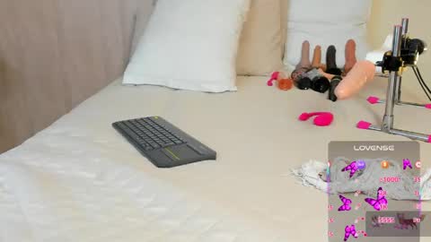 V A N E  online show from 04/16/26, 02:45