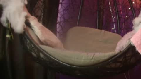 Vanelope online show from 11/28/25, 07:16