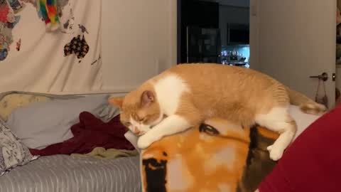 Vanessa  online show from 12/15/25, 02:05