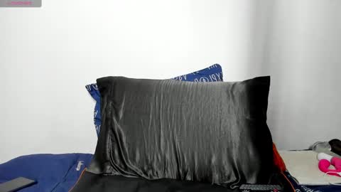 Snapshot of vann_helsing chatting on 03/10/25, 06:01 Van online show from 03/10/25, 06:01