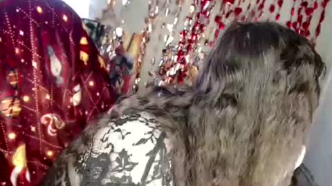 Var Kiss online show from 04/04/26, 04:33