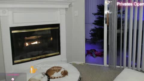 vegas_romance online show from 02/12/25, 08:49