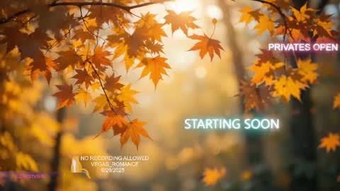 vegas_romance online show from 09/30/25, 02:16