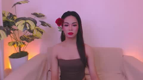 Velvet online show from 05/30/26, 02:41