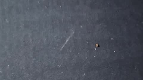 Snapshot of velvetsolez chatting on 03/22/26, 09:29 velvetsolez online show from 03/22/26, 09:29