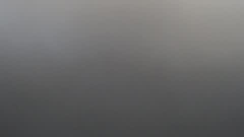 velvetteasexx online show from 02/02/26, 01:26