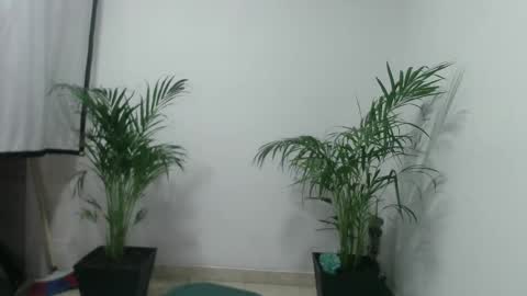 vennus6969 online show from 03/05/25, 01:10