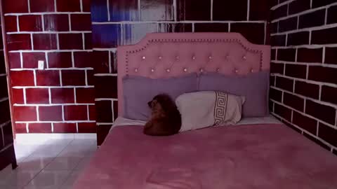 emily independent account  MY conextion 1100 GTM  to  17hr GTM online show from 03/08/25, 10:34