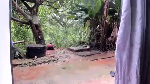 venus ... zeus sheer  online show from 01/13/26, 12:43