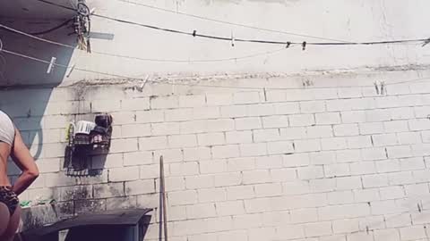 Snapshot of veroalva chatting on 01/30/25, 05:17 Vero Alva online show from 01/30/25, 05:17