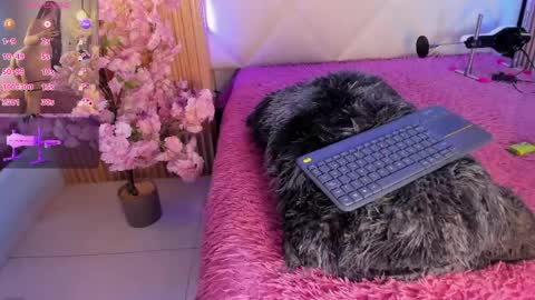 veronica_hill_ online show from 06/03/26, 03:20