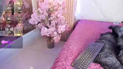 Snapshot of veronica_hill_ chatting on 06/24/26, 03:05 veronica_hill_ online show from 06/24/26, 03:05
