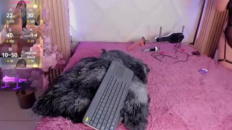 Snapshot of veronica_hill_ chatting on 07/02/26, 03:06 veronica_hill_ online show from 07/02/26, 03:06
