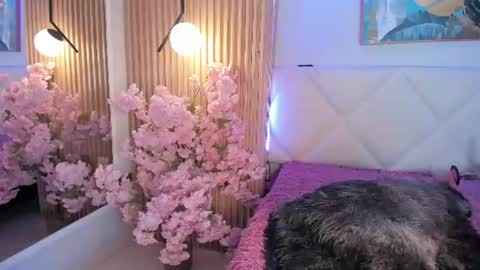 Snapshot of veronica_hill_ chatting on 07/10/26, 03:11 veronica_hill_ online show from 07/10/26, 03:11