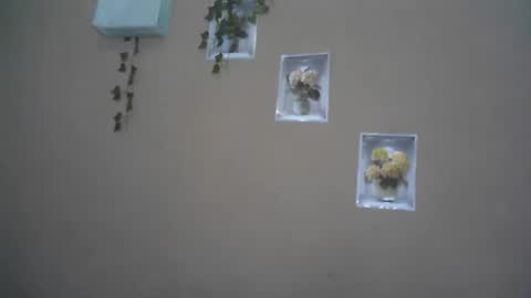 verronique1511 online show from 04/22/26, 04:04