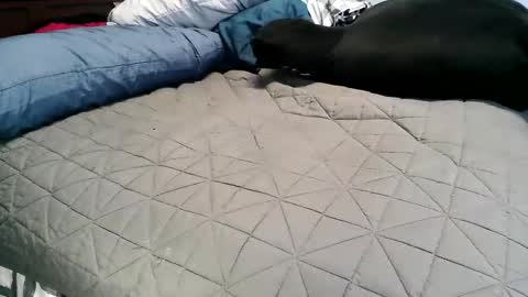 Vexnew online show from 11/04/25, 06:51