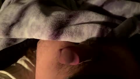 Snapshot of vibes456 chatting on 01/10/25, 06:31 vibes456 online show from 01/10/25, 06:31