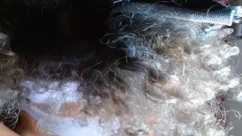 VICKY online show from 02/14/25, 03:54