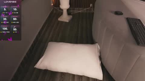 hi Im daniela  I will be online again in 15 hours after each transmission 3 online show from 11/29/25, 11:30