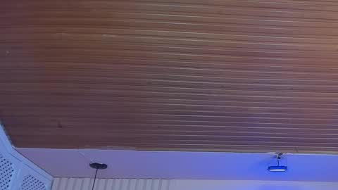 Viiolett online show from 10/01/25, 08:26