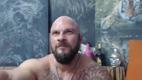Snapshot of viking_me chatting on 09/15/25, 06:41 viking online show from 09/15/25, 06:41